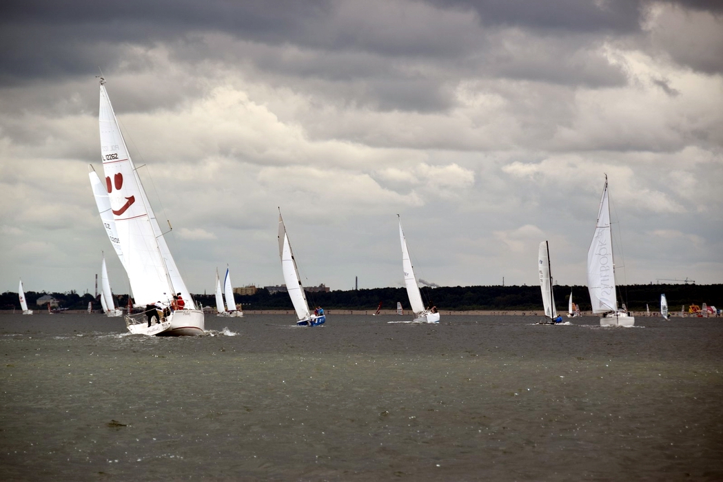 Regaty Zaruski Cup - 2014